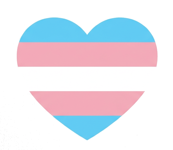 A heart in the colors of the trans pride flag